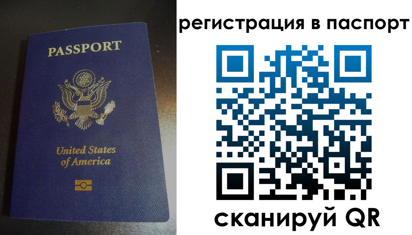прописка для школы в Пересвете